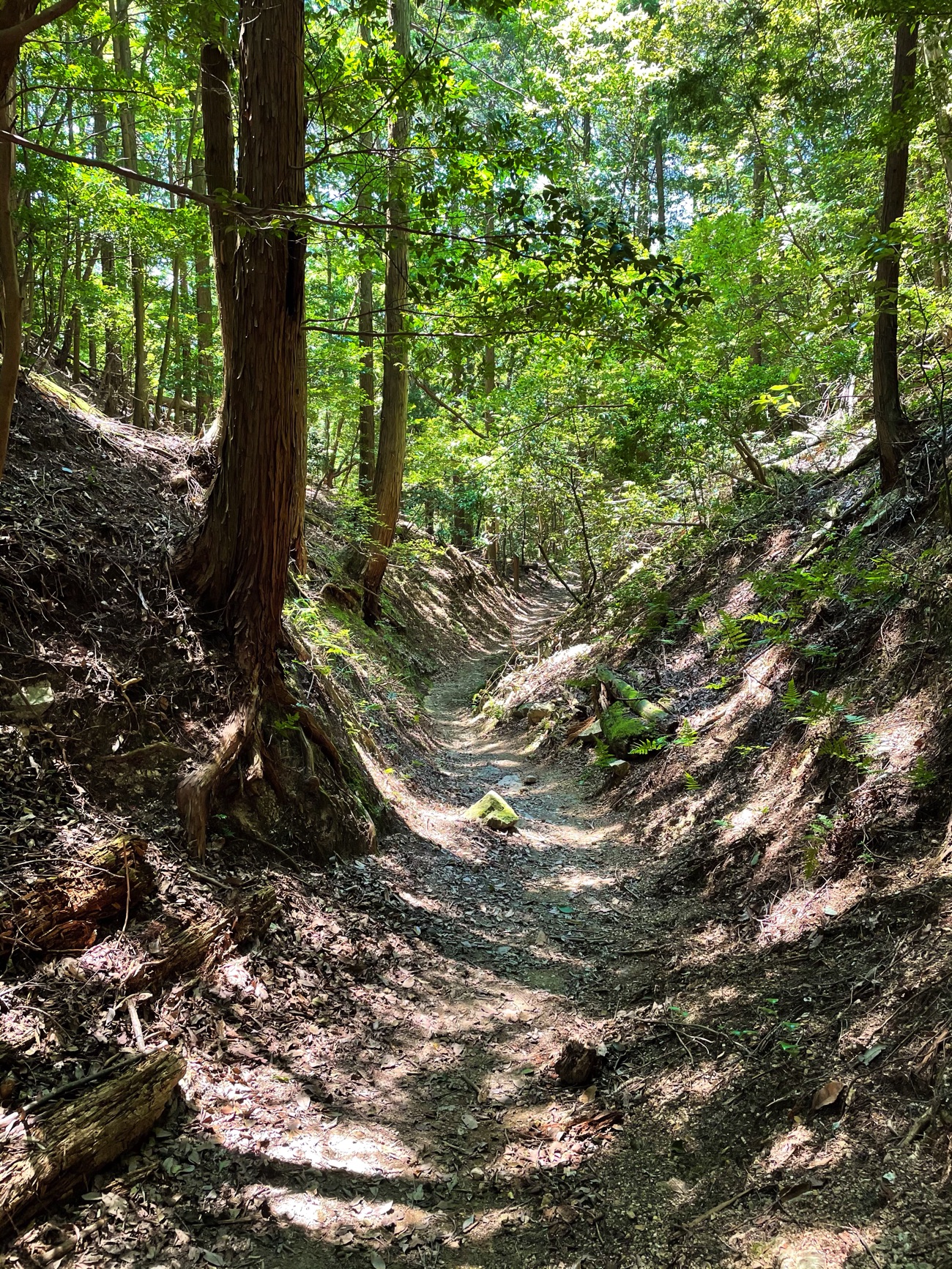 薬王坂の登山道