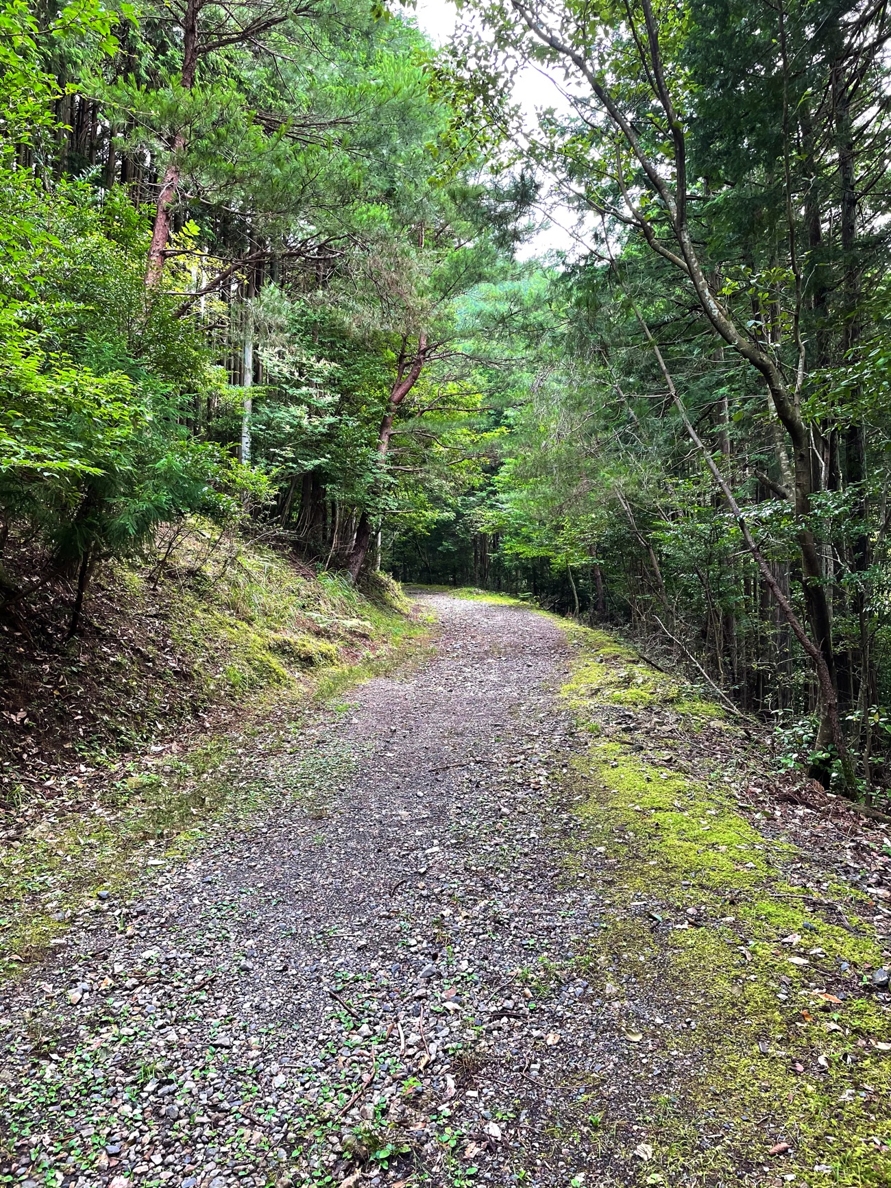 初心者でも楽しめる登山コース