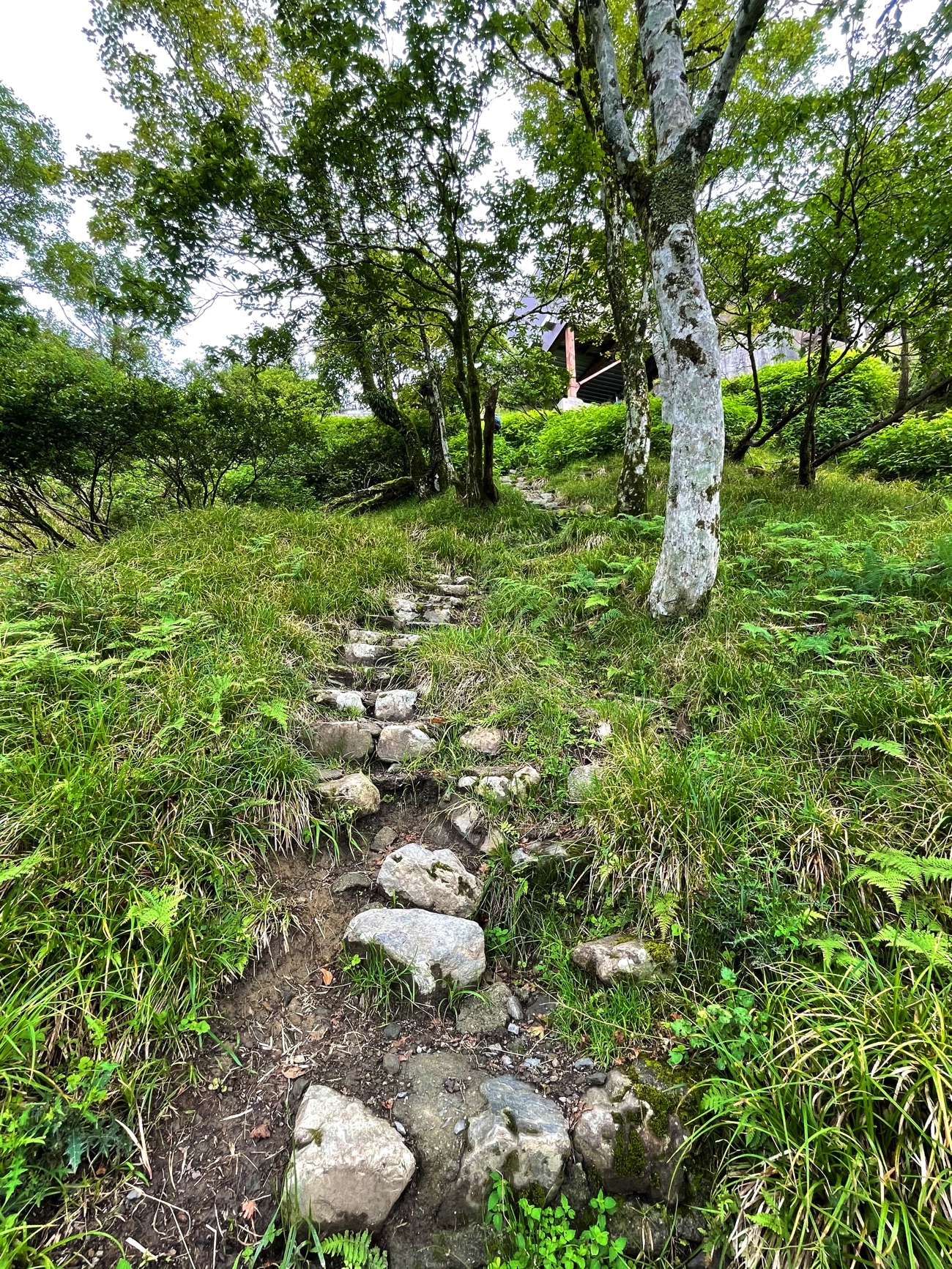 打見山の山頂へ