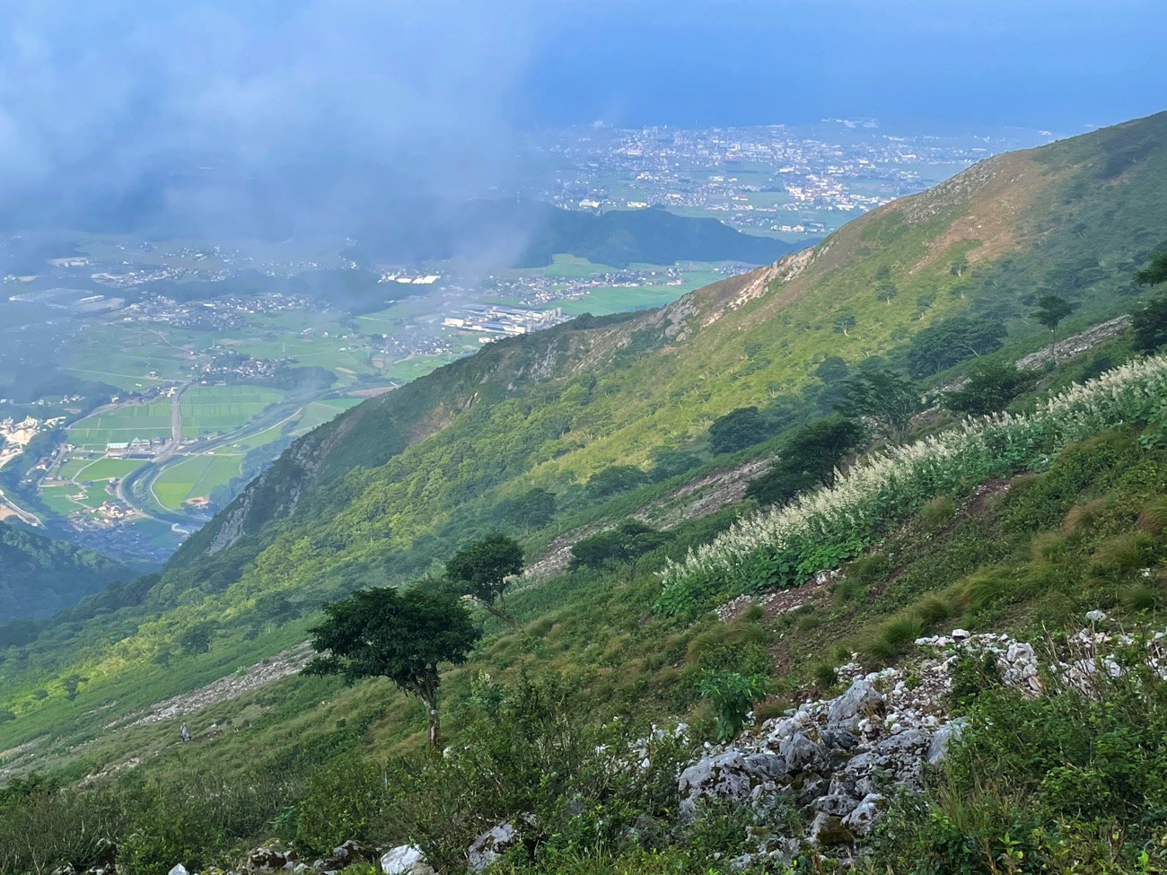 伊吹山の裾野