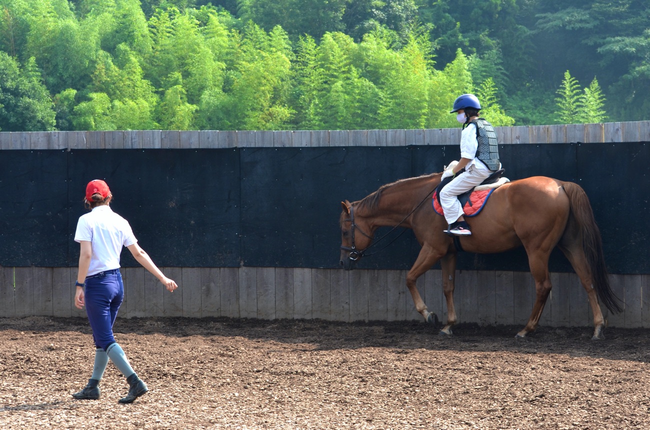 体験乗馬は予約が必要