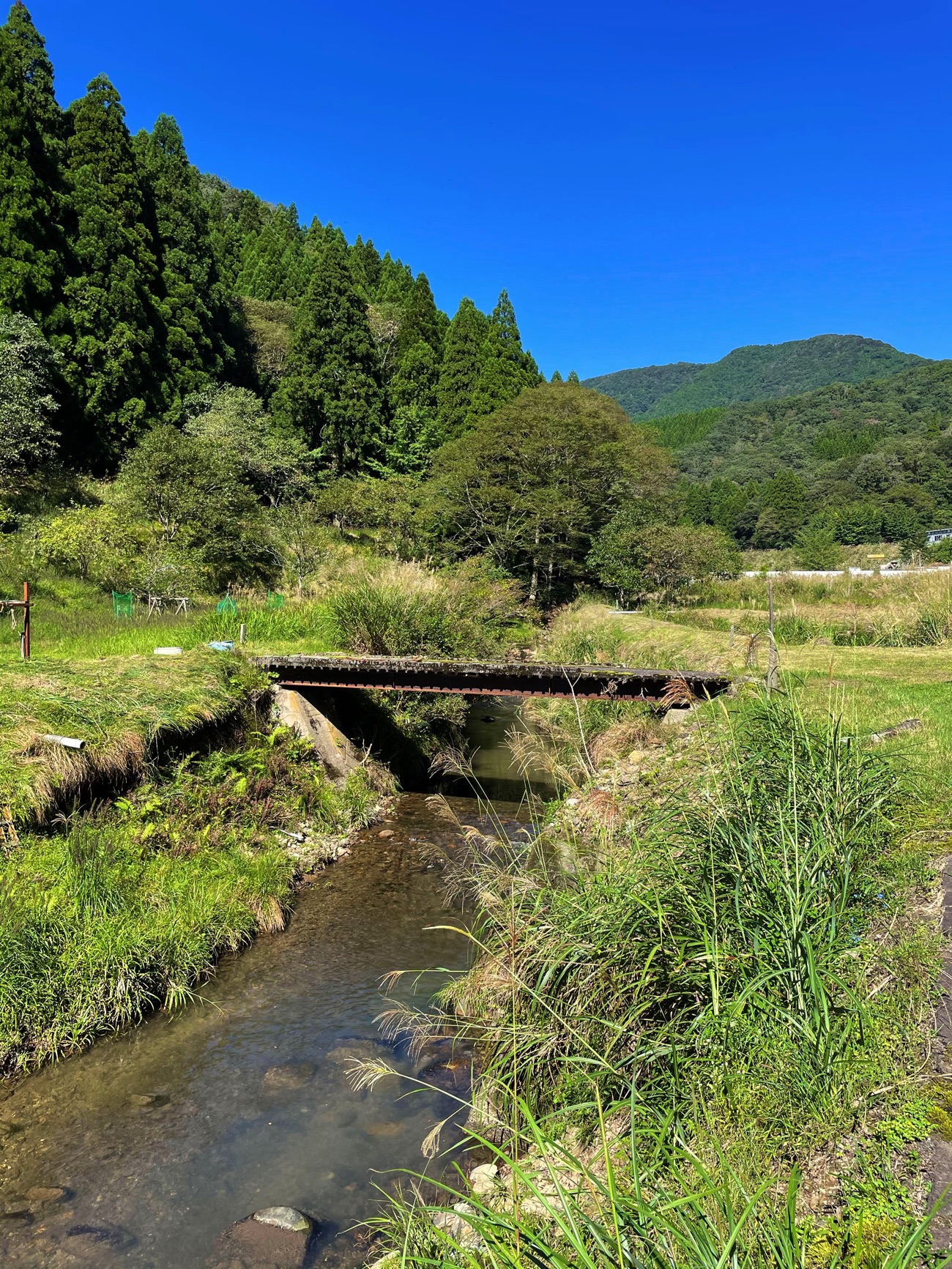 のどかな風景に癒される