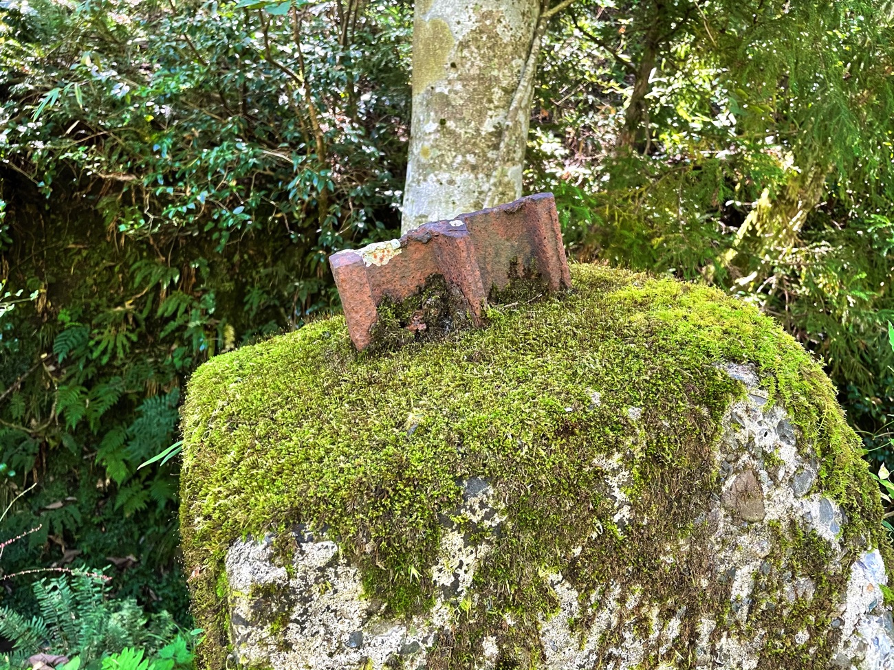 線路の残骸らしきもの