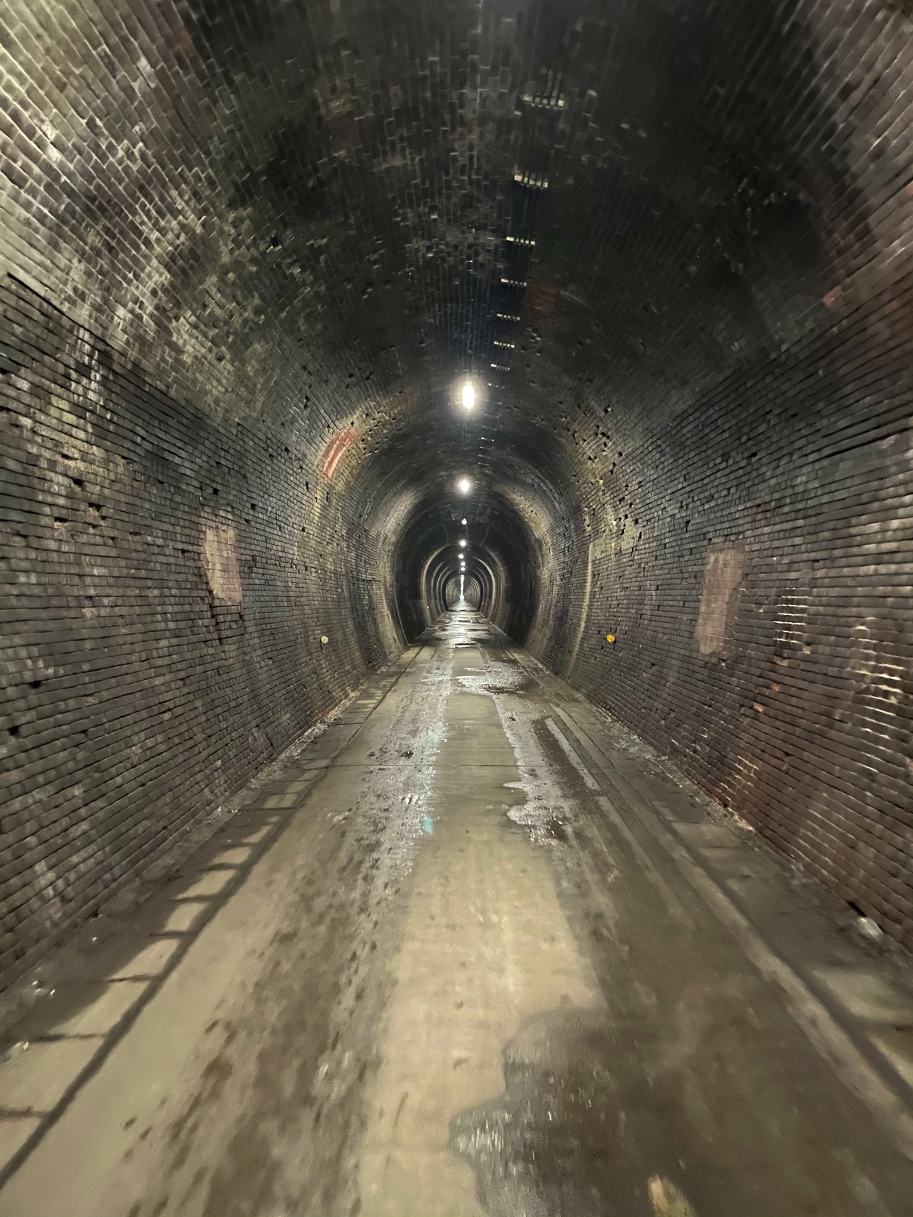 トンネルの中は独特の雰囲気