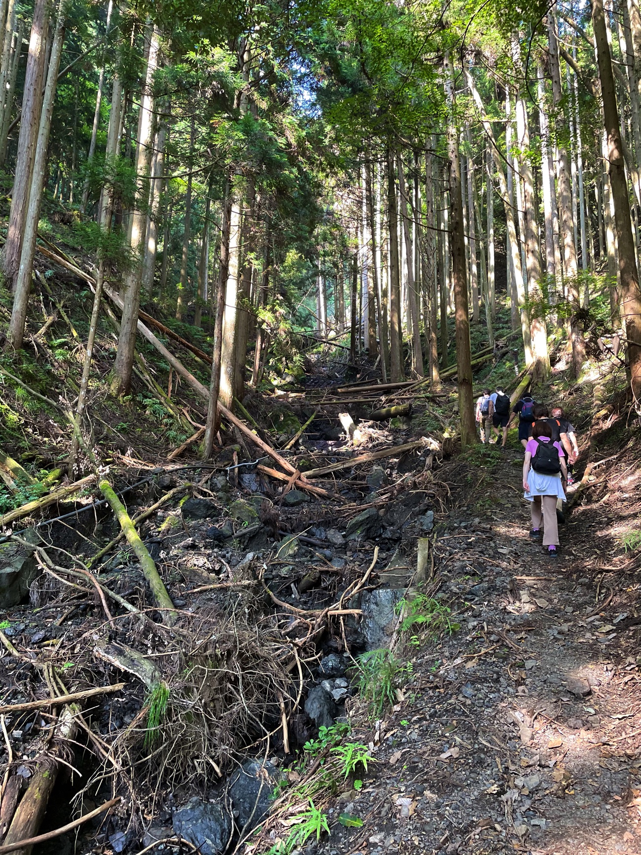 急勾配の登山道を歩く