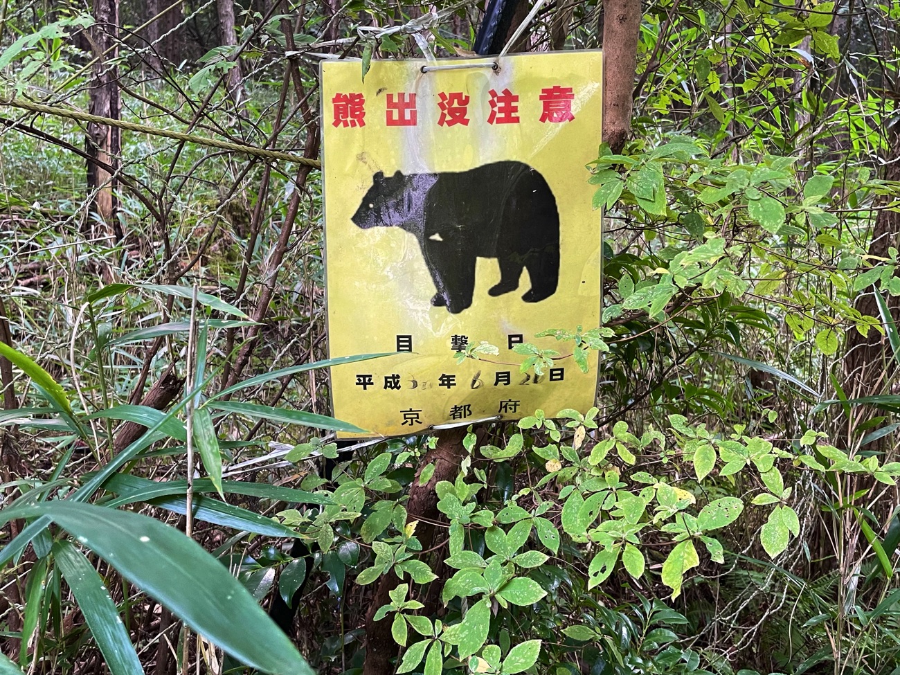 「熊出没注意」の看板