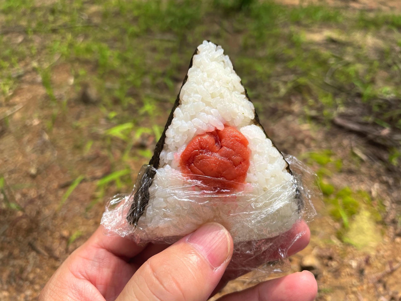 「おにぎり屋さん」のおにぎり