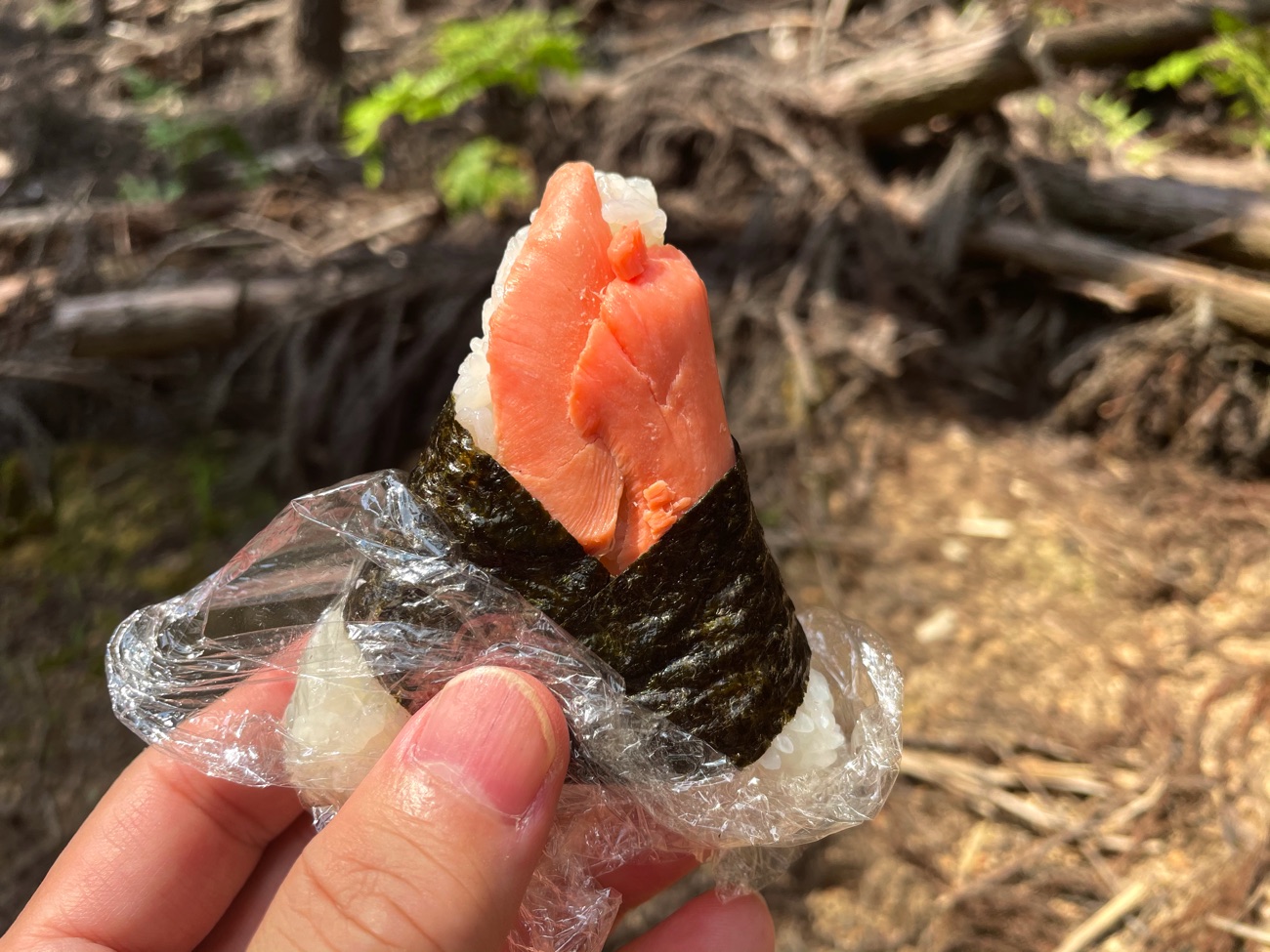 山で食べるおにぎりは格別!