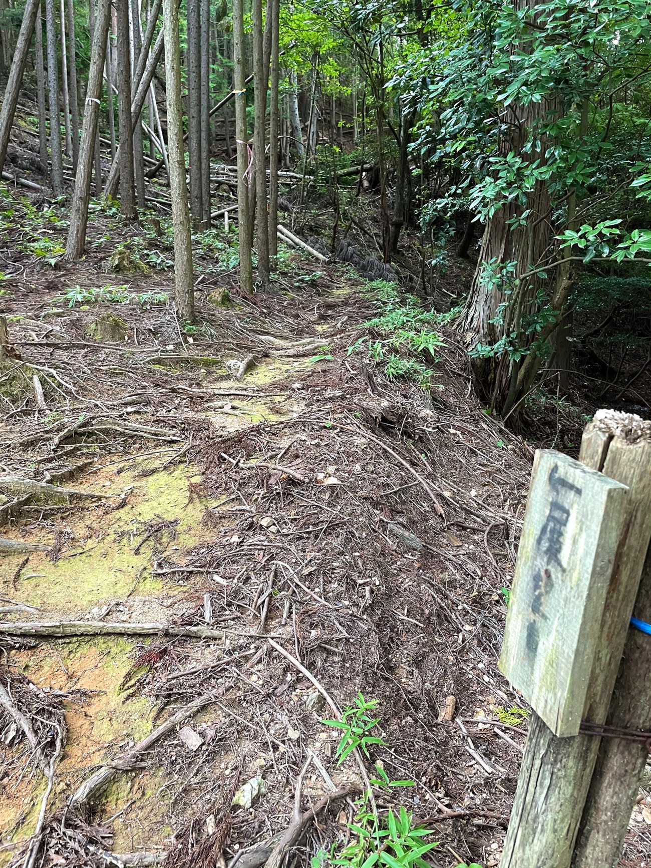 展望台がある?