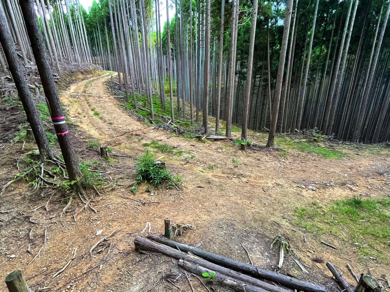 「小峠」に到着