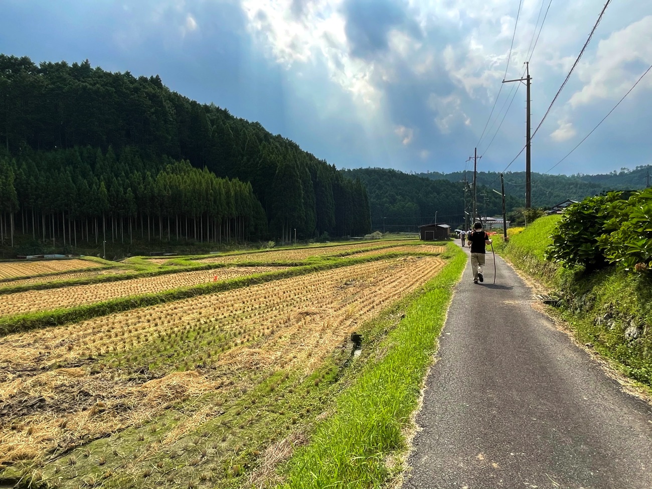 のどかな里山の風景