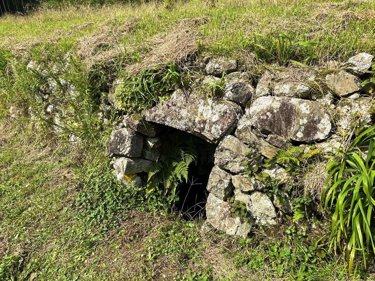 これが氷室?