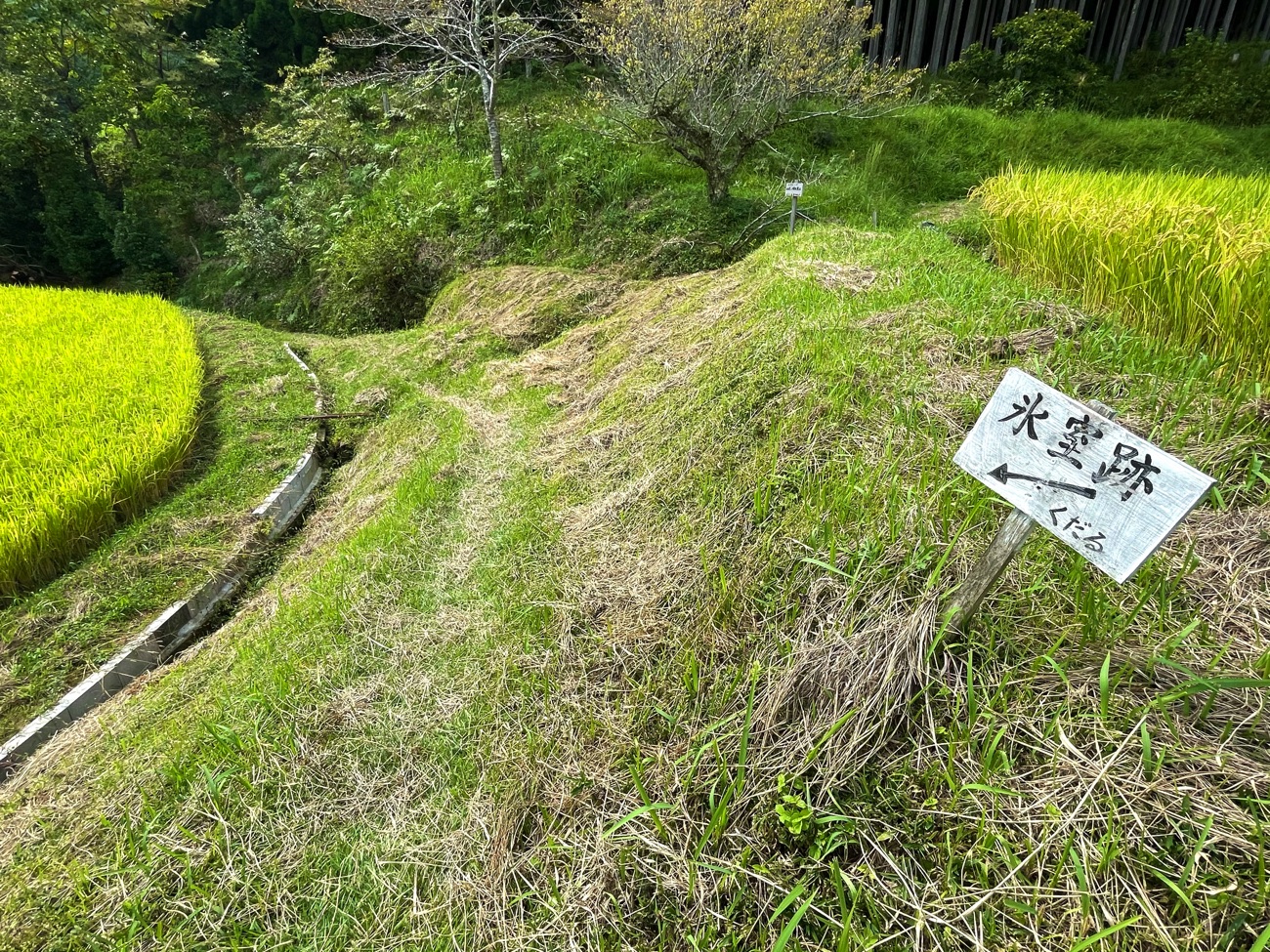 「氷室跡」の案内板