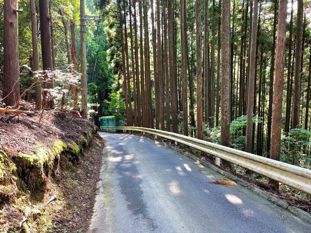 氷室方面から下山