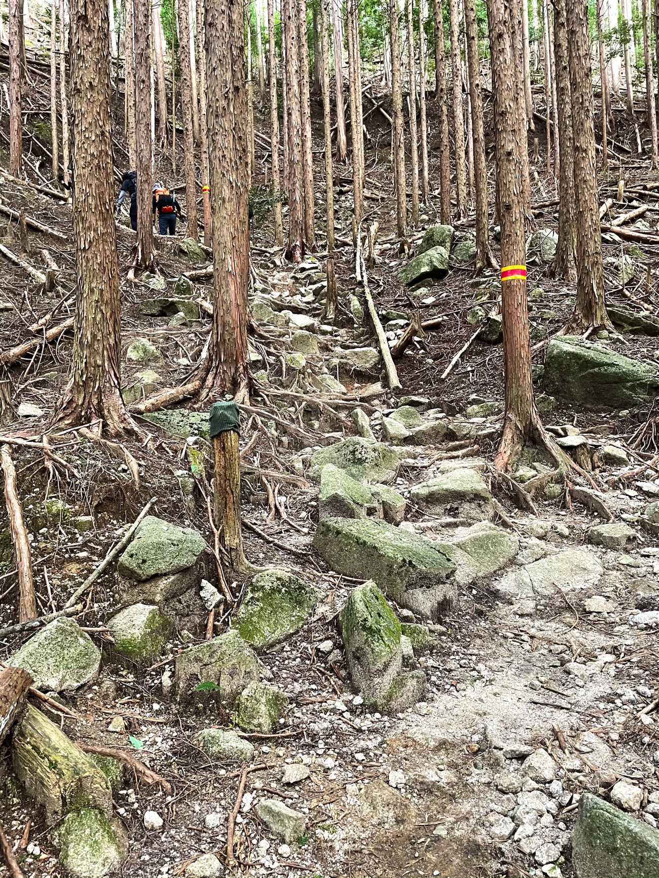 遠足尾根の登りはじめ