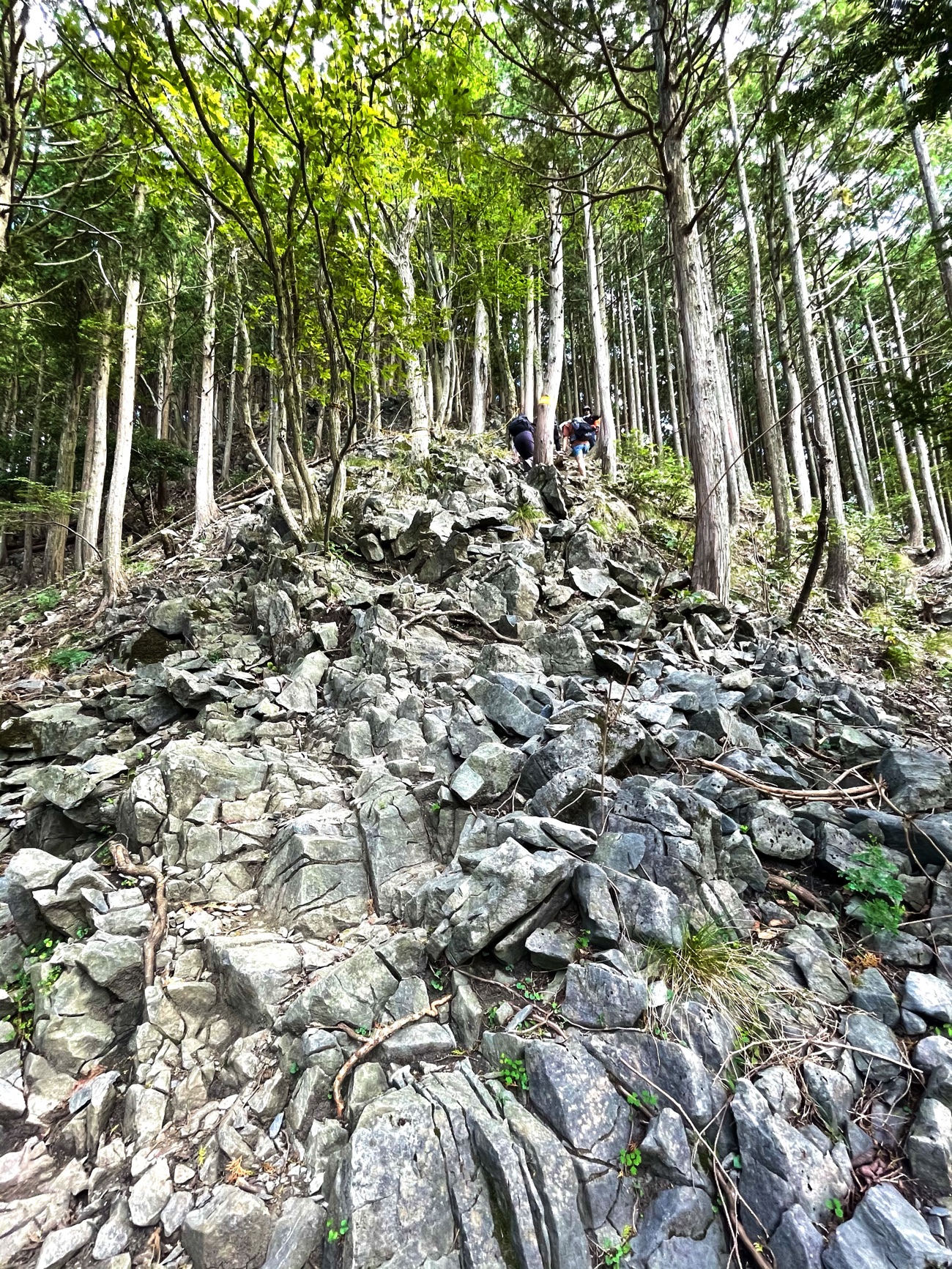 急勾配でハードな山道