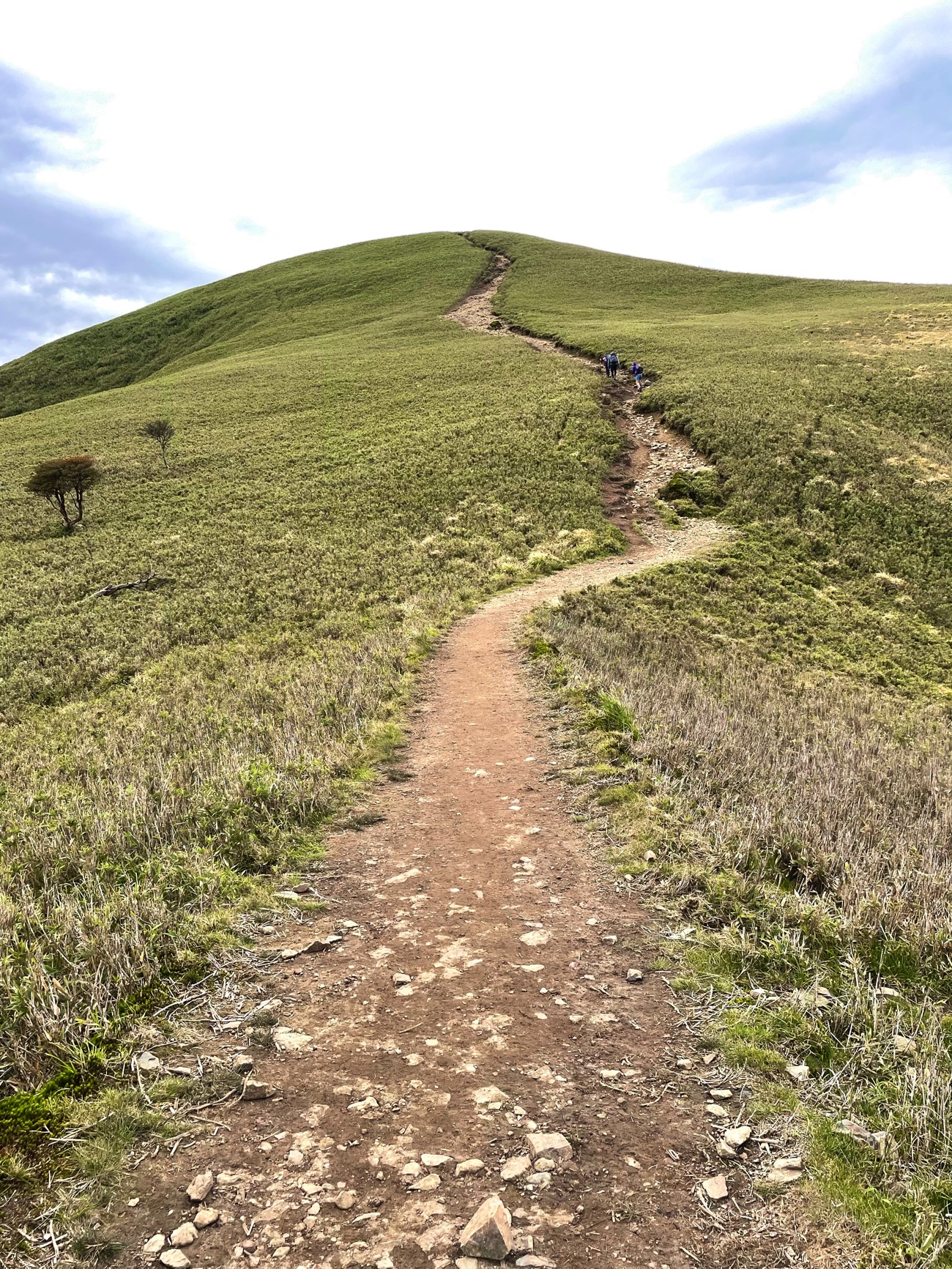 竜ヶ岳の山頂