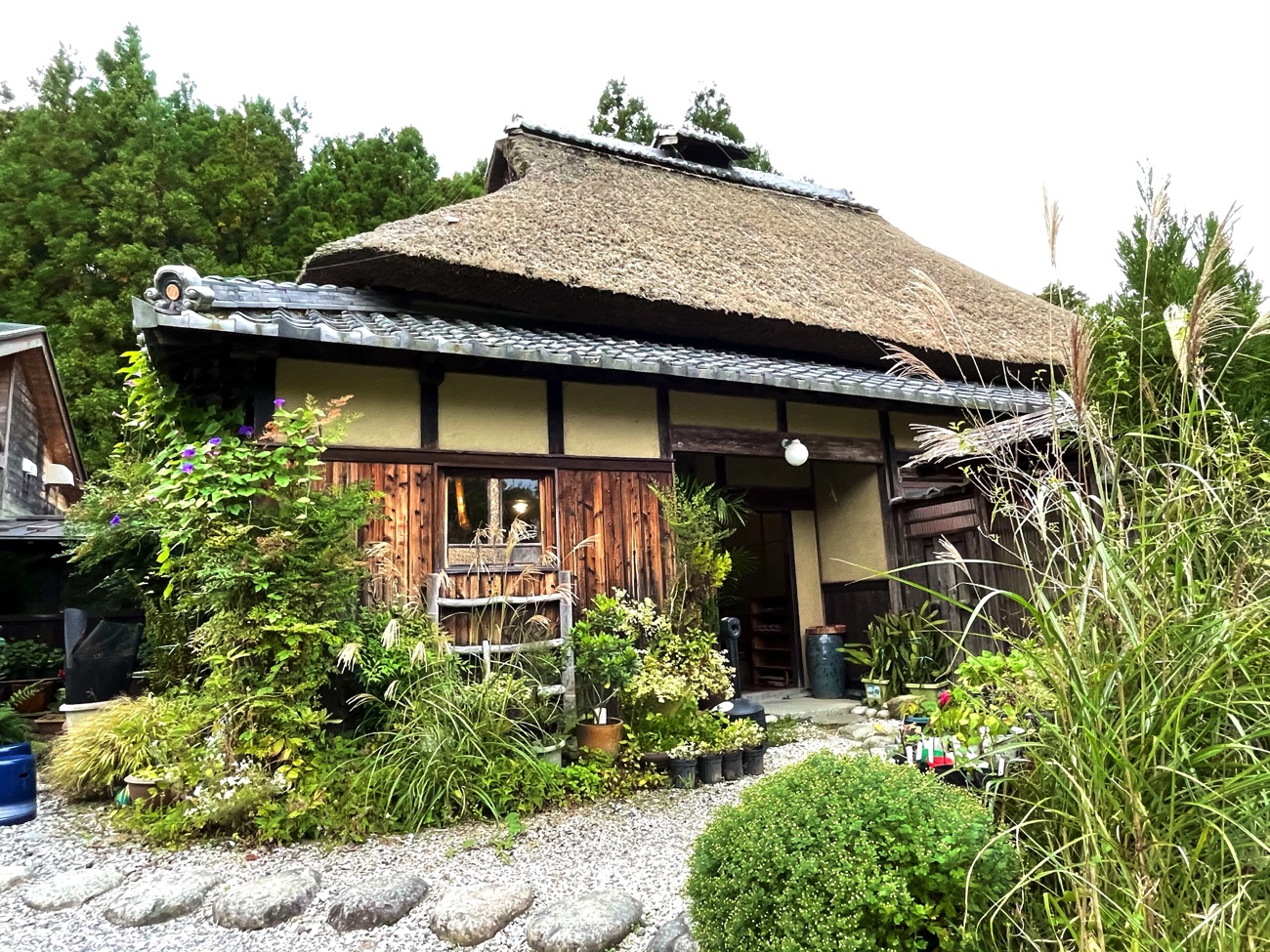 茅葺き屋根の建物