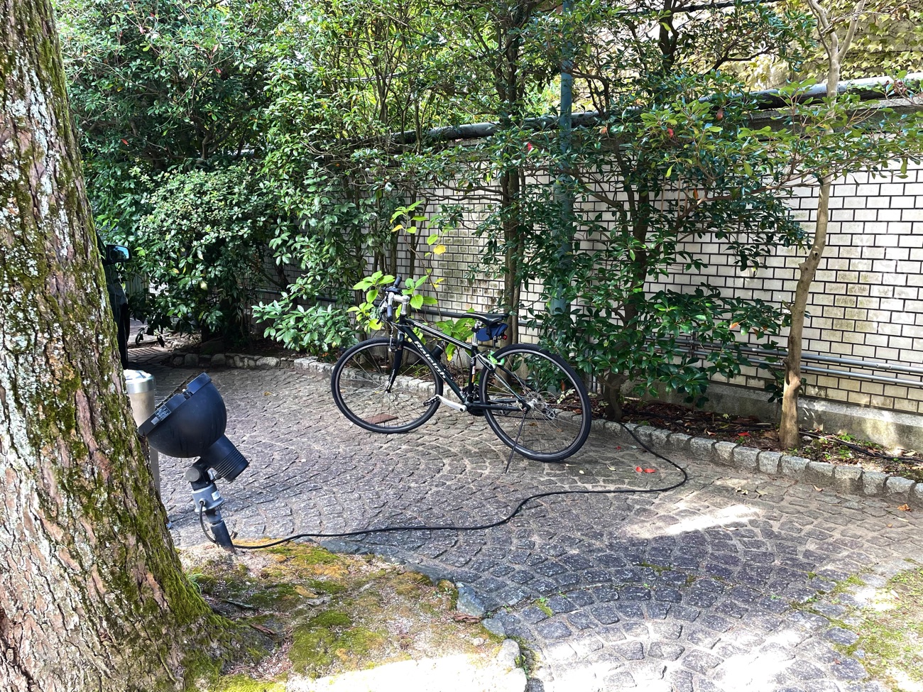 駐車場の端に自転車を