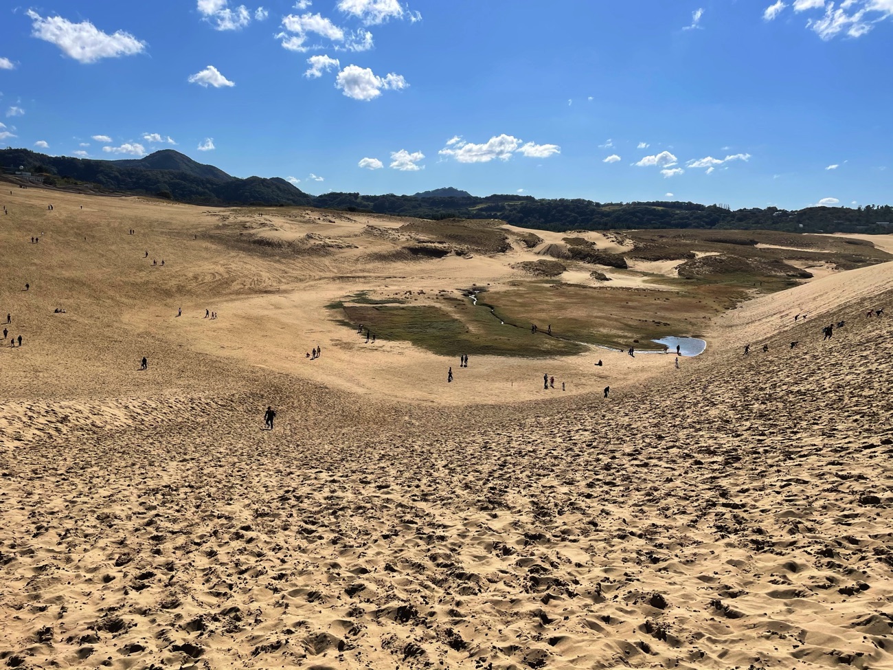 「馬の背」から見る鳥取砂丘
