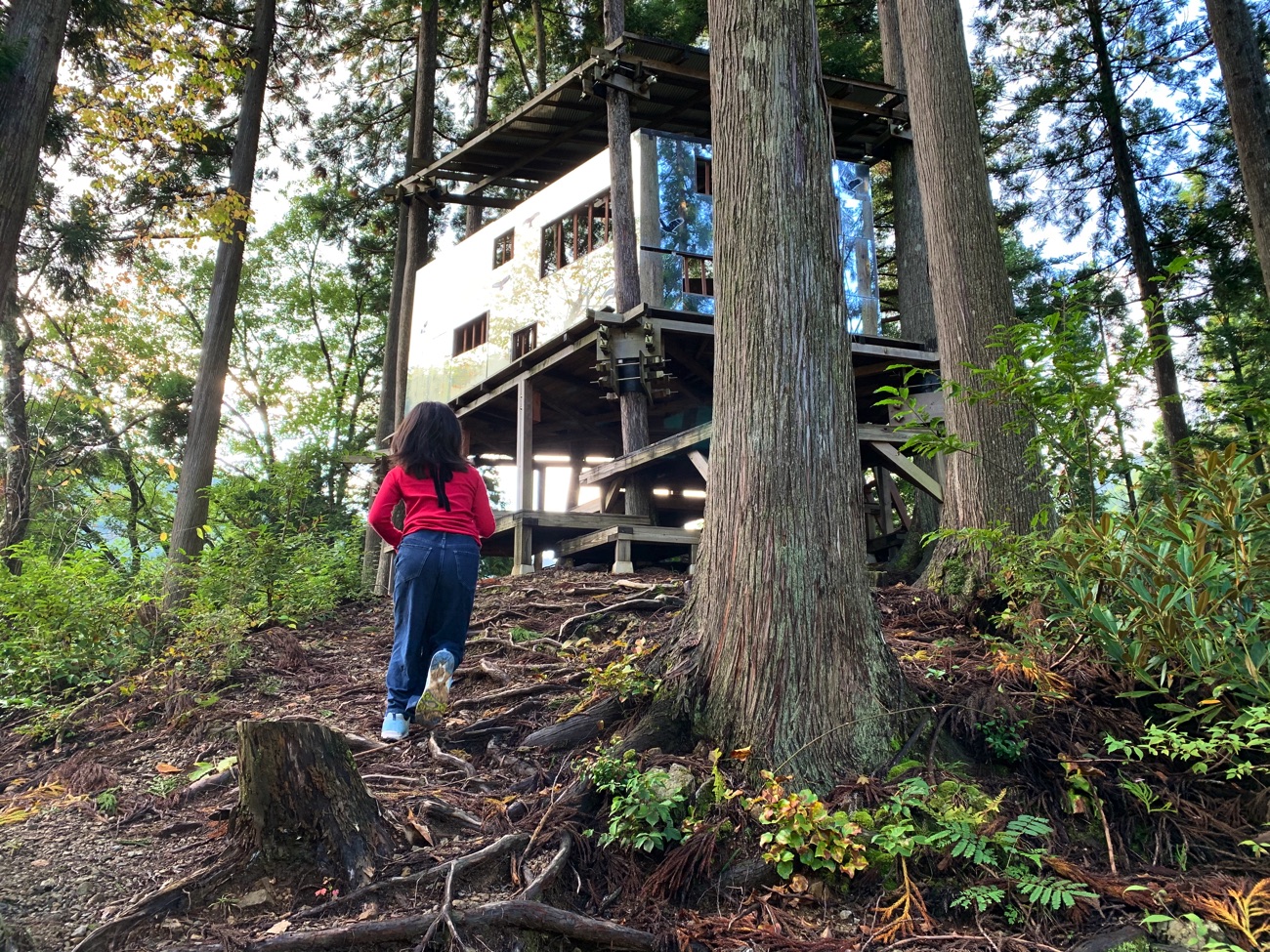 山の上に小屋を発見!