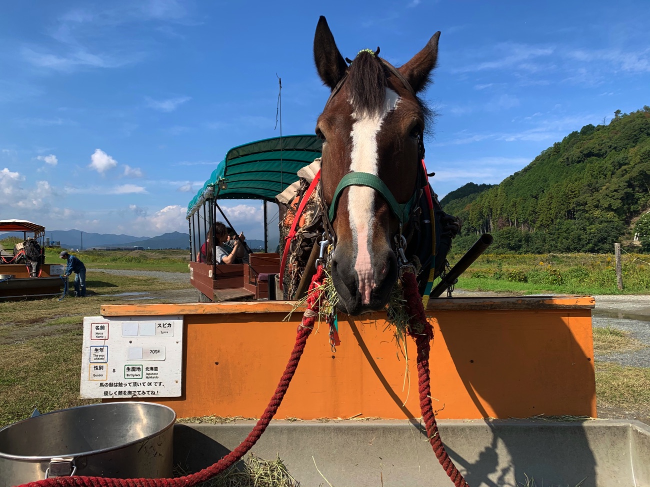 乗船場まで馬車で行くこともできる