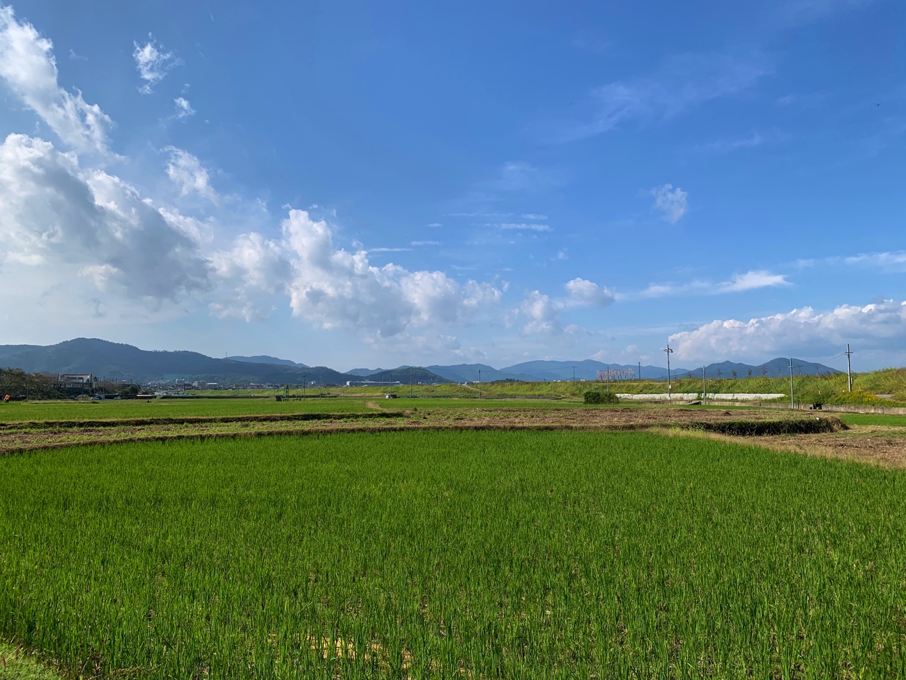 田園風景が広がる