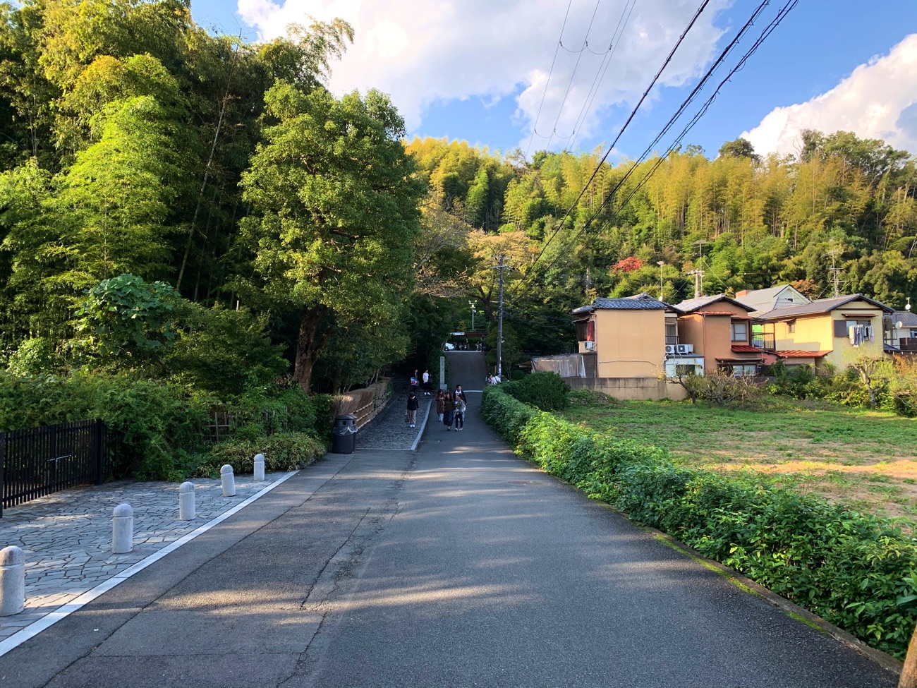 「鈴虫寺」に到着!?