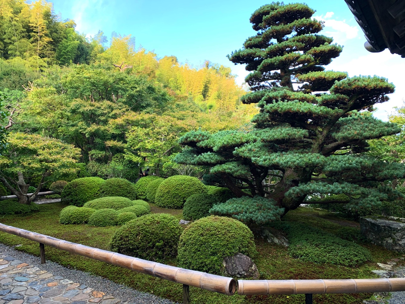 本堂前の庭園