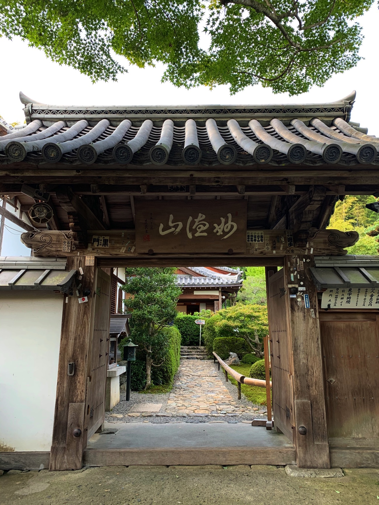 「鈴虫寺」の山門