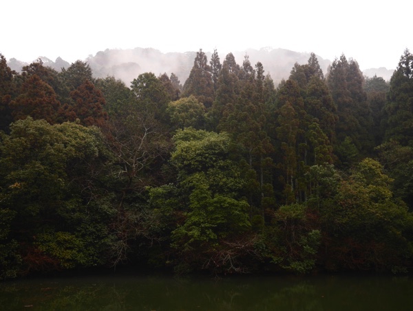 霧がかかって神秘的な雰囲気に!