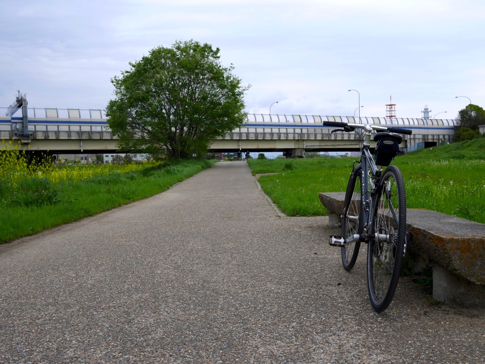 鴨川沿いのサイクリングロード