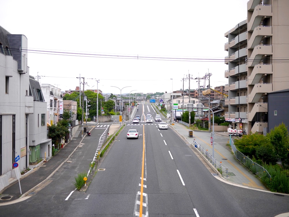 国道24号線を東へ