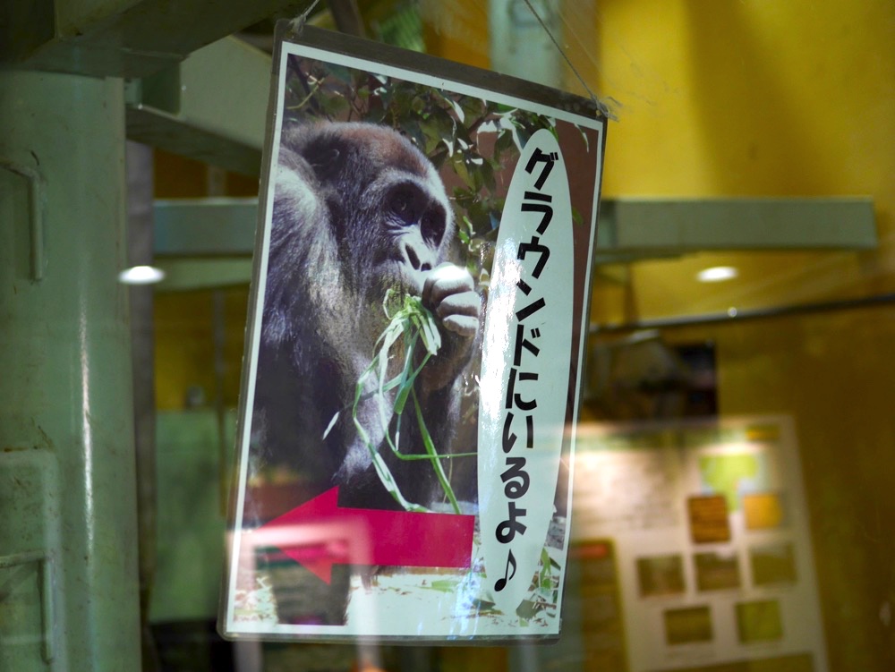 室内にいない場合はグラウンドへ