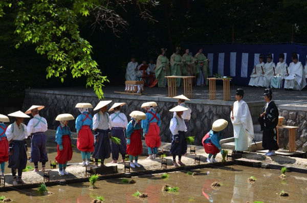 神田で行われる「田植祭」