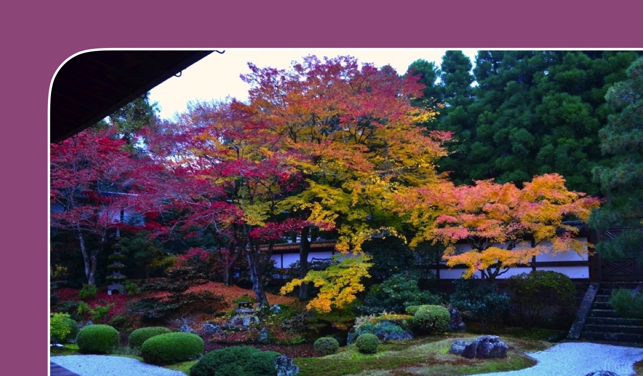 京都の紅葉