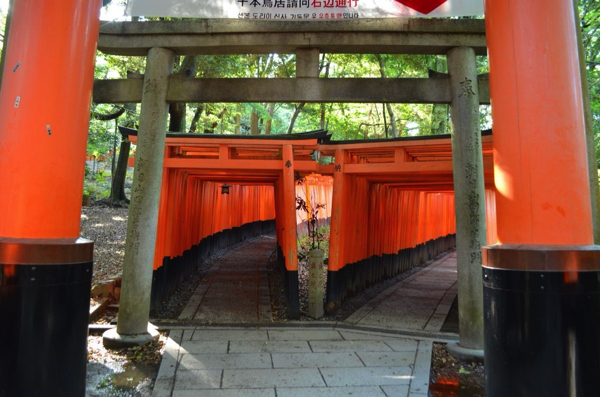 昼の千本鳥居