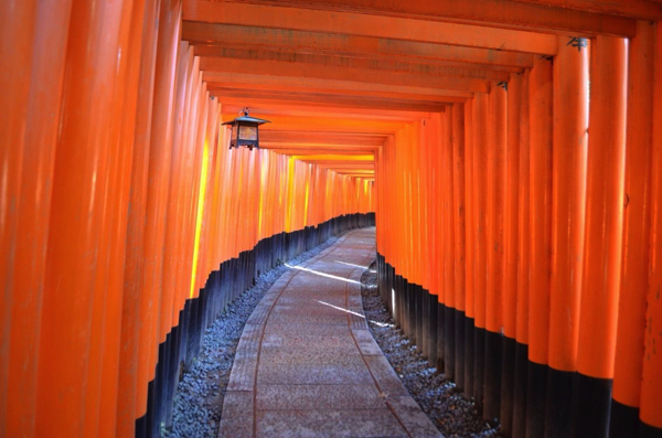 Tunnel of the fantastic Torii