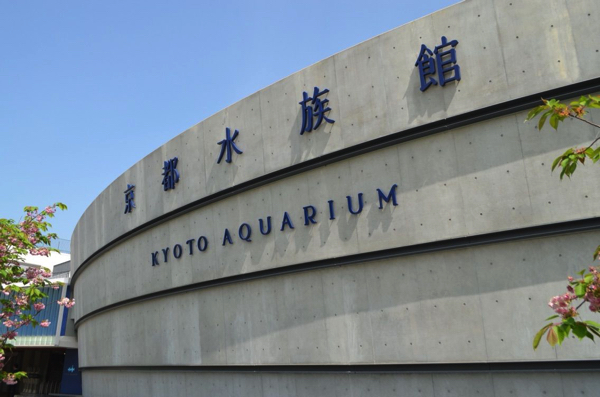 京都水族館に到着!