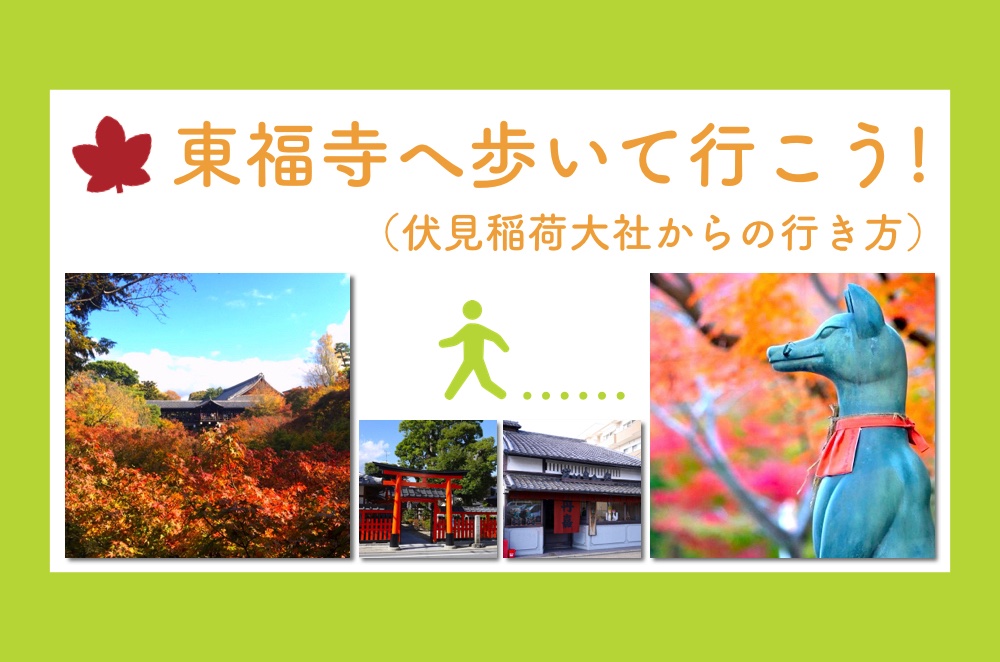京都の紅葉 伏見稲荷から東福寺へ徒歩で行く方法 アクセスは 実際に歩いてみたよ ごりらのせなか