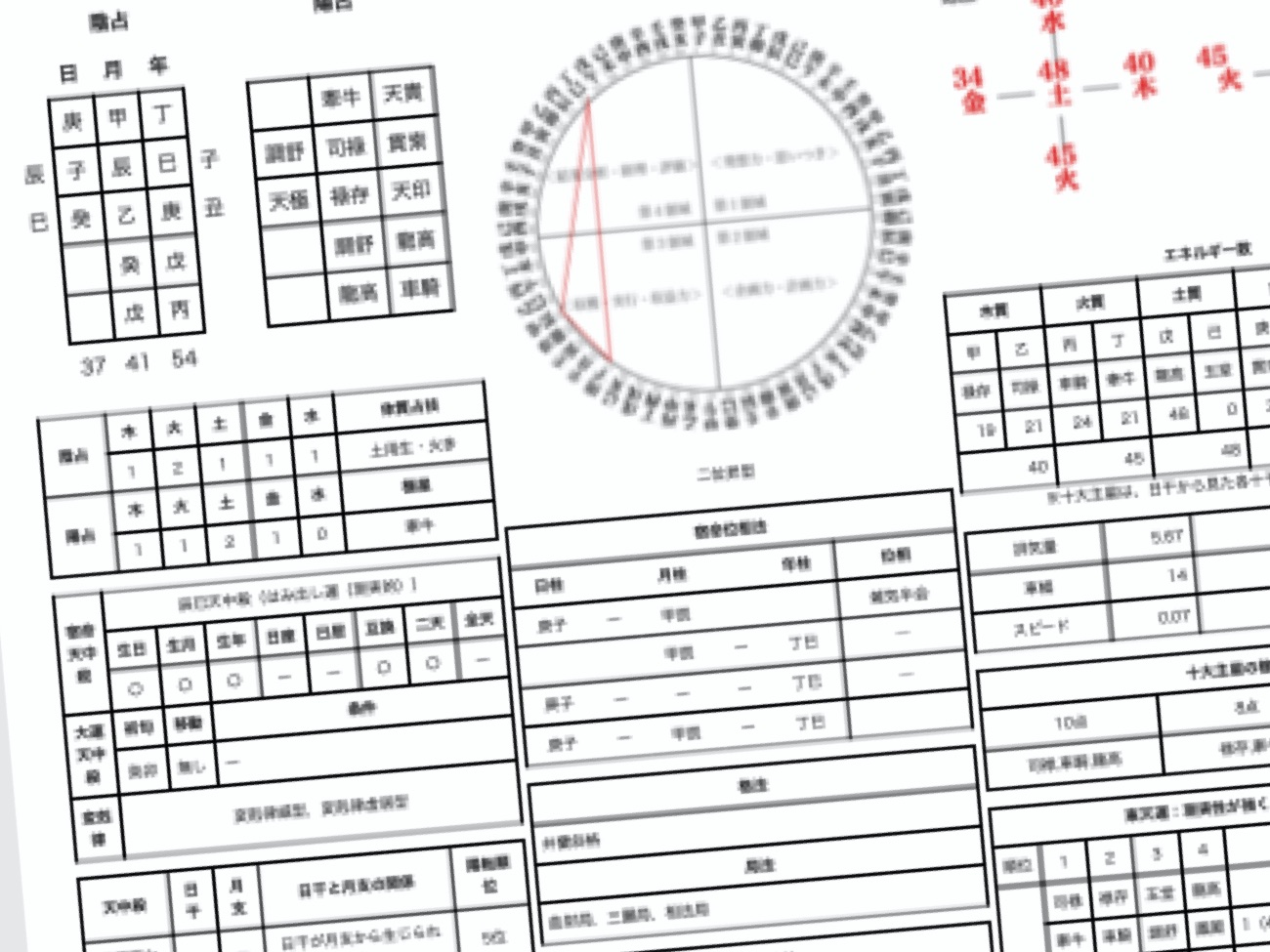 生年月日をもとに作成してもらった「命式図」