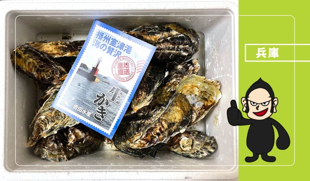 吉田水産|歴史ある港町の直売所で身がプリプリの殻付き牡蠣を購入! 兵庫・室津 ごりらのせなか 吉田水産|歴史ある港町の直売所で身がプリプリの殻付き牡蠣を購入! 兵庫・室津 ごりらのせなか